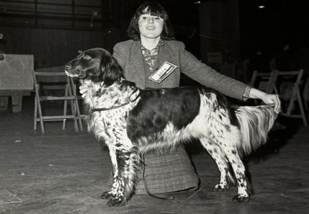 picture of dog