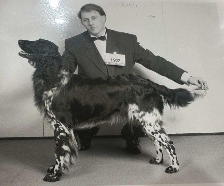 picture of dog