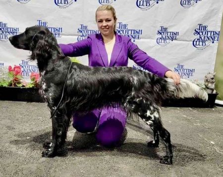 picture of dog