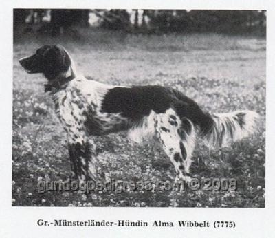 picture of dog