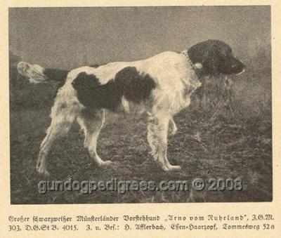 picture of dog