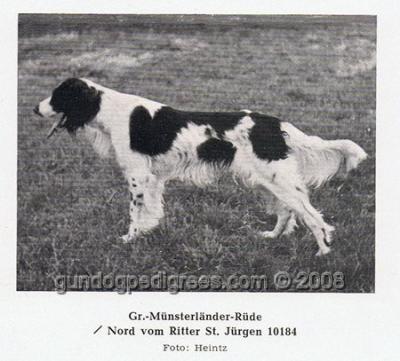 picture of dog
