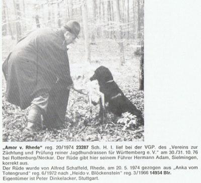 picture of dog