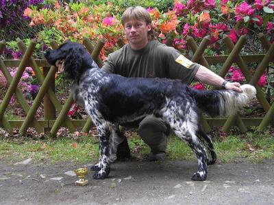 picture of dog